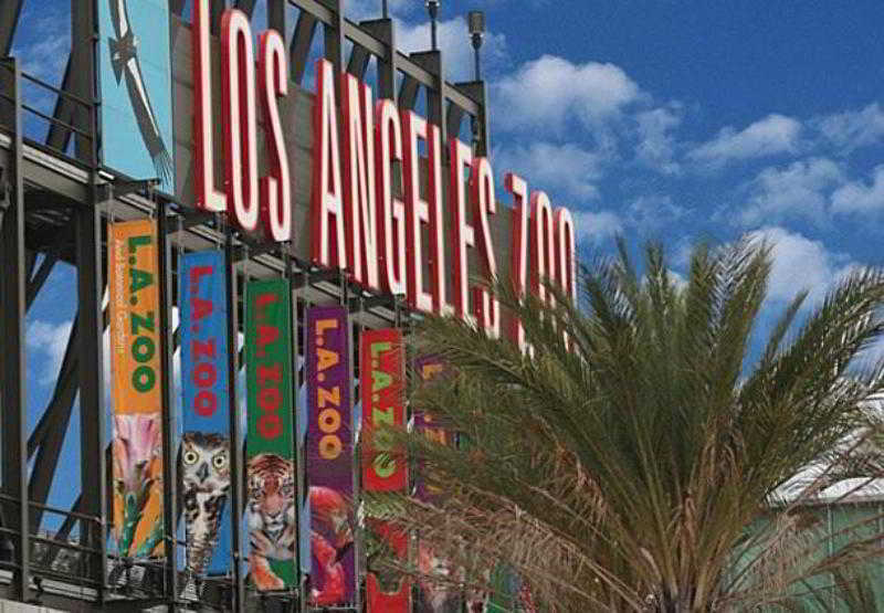 By Marriott Angeles L.a. Live Hotel Los Angeles